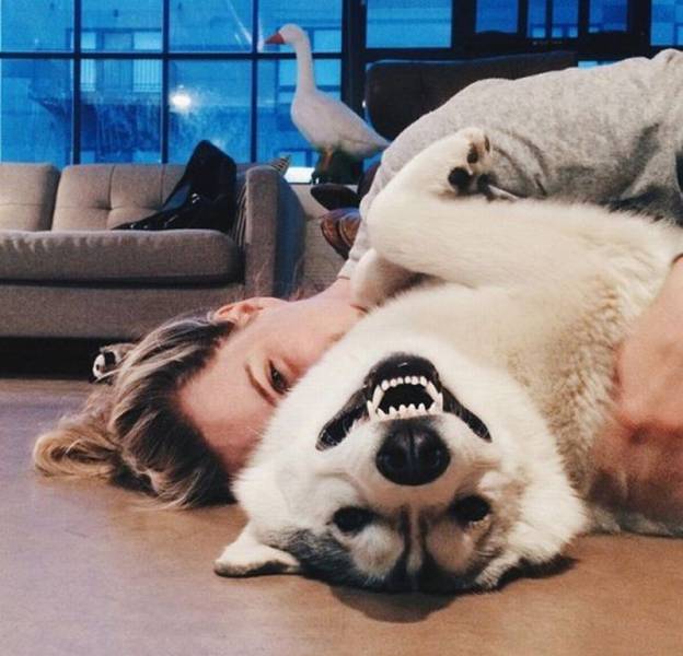 page,56,top 1500 daily pics of the year 2015.html - 1 HD Photos | Premium Gallery 2015