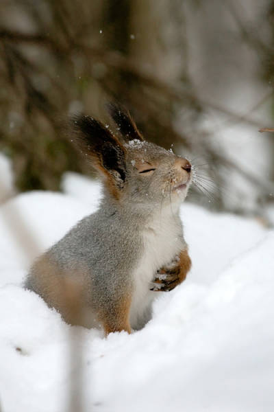 Morning Picdump