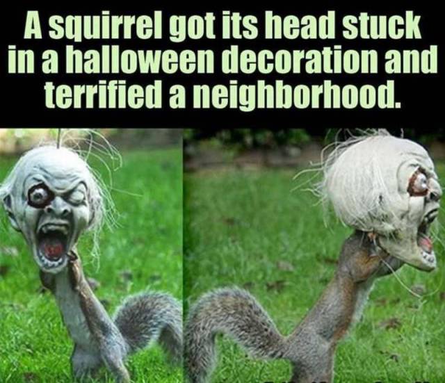 page,41,top 1500 daily pics of the year 2015.html - 1 HD Photos | Premium Gallery 2015