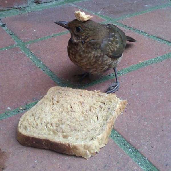 Morning Picdump