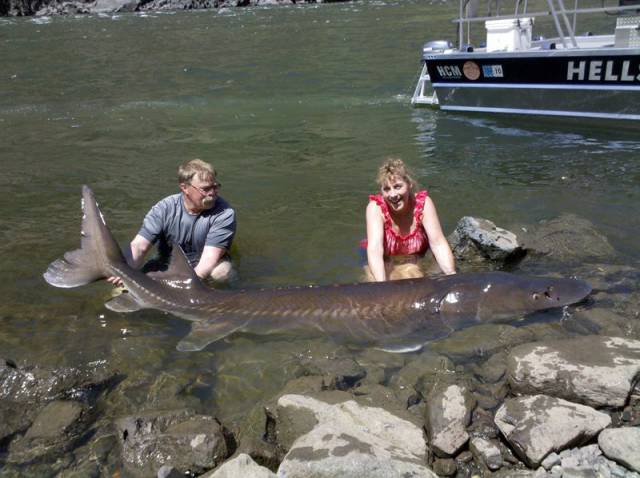 morning picdump 50 pics 2.html - 50 HD Photos | Premium Gallery 2015