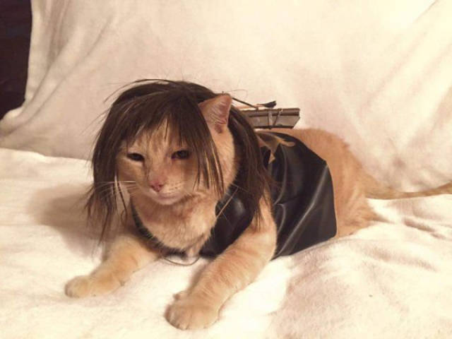 halloween costumes that totally rocked this year 100 pics 4.html - 100 HD Photos | Premium Gallery 2015