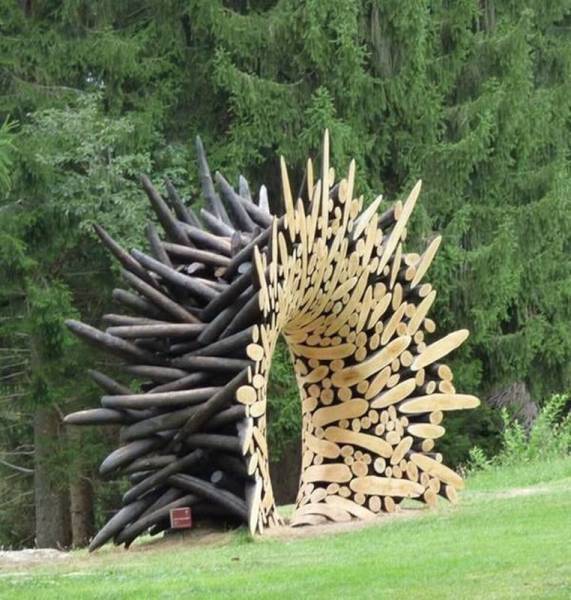 page,6,top 1500 daily pics of the year 2015.html - 1 HD Photos | Premium Gallery 2015