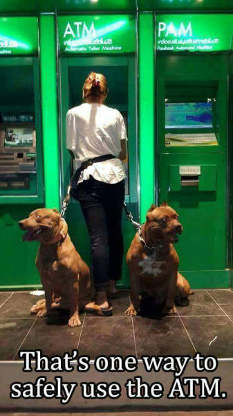 Funny Picdump