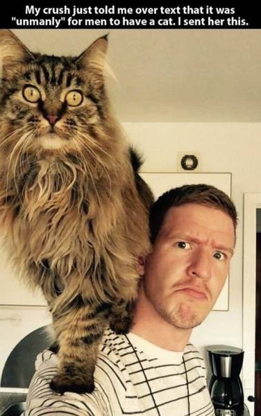 page,57,top 1500 daily pics of the year 2015.html - 1 HD Photos | Premium Gallery 2015