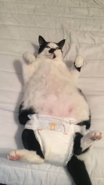 morning picdump 51 pics 24.html - 51 HD Photos | Premium Gallery 2015