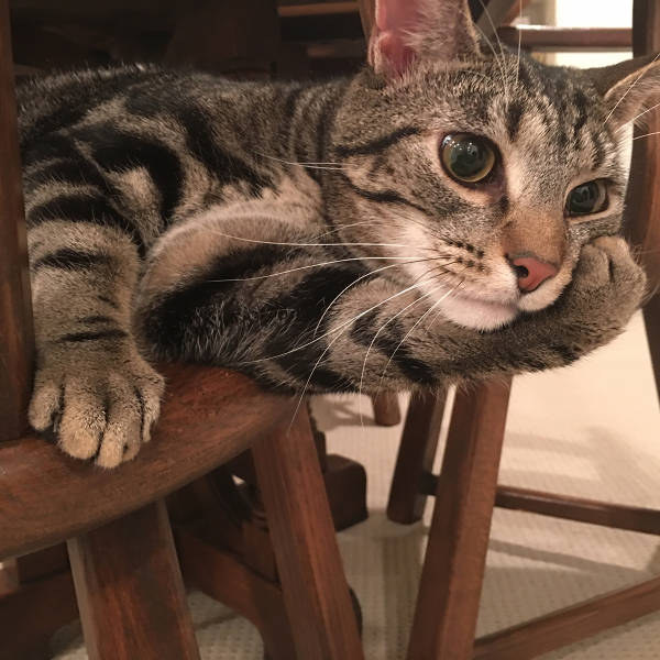 morning picdump 51 pics 24.html - 51 HD Photos | Premium Gallery 2015