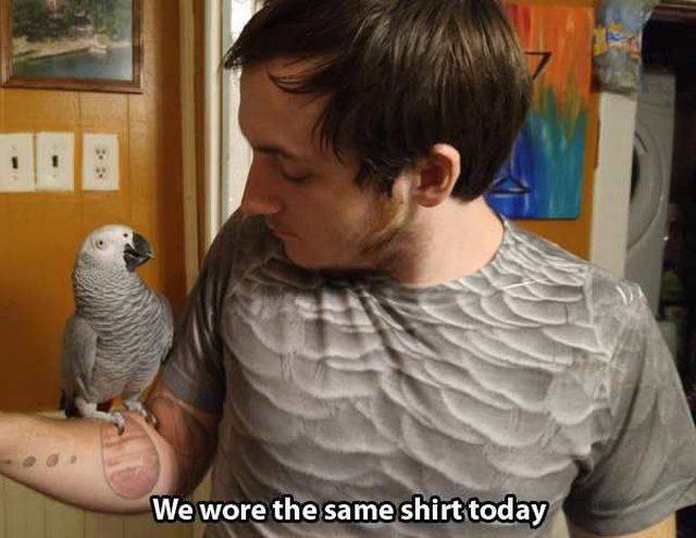 daily picdump 98 pics 4.html - 98 HD Photos | Premium Gallery 2015