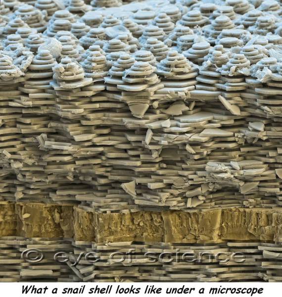 page,57,top 1500 daily pics of the year 2015.html - 1 HD Photos | Premium Gallery 2015