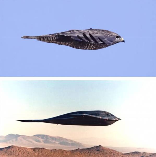 page,9,top 1500 daily pics of the year 2015.html - 1 HD Photos | Premium Gallery 2015