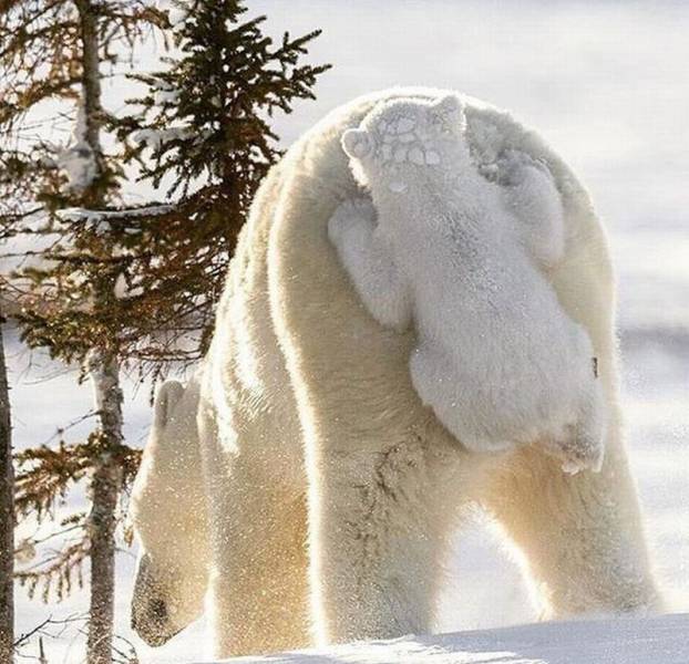 page,31,top 1500 daily pics of the year 2015.html - 1 HD Photos | Premium Gallery 2015