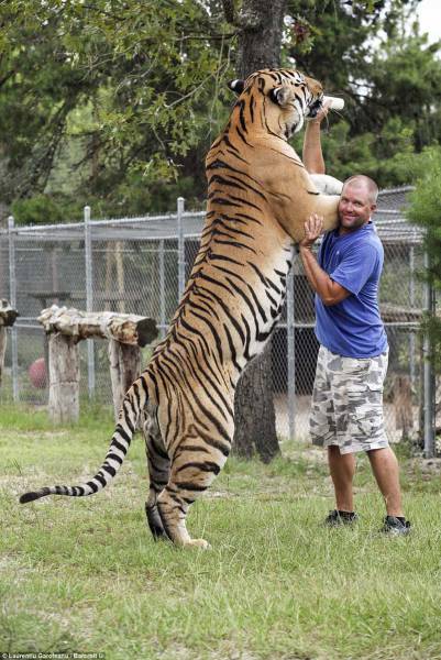 morning picdump 50 pics 13.html - 50 HD Photos | Premium Gallery 2015