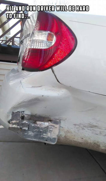 page,17,top 750 morning pics of the year 2015.html - 1 HD Photos | Premium Gallery 2015