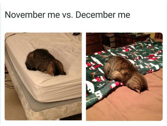 page,6,top 1500 daily pics of the year 2015.html - 1 HD Photos | Premium Gallery 2015