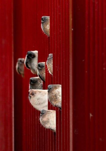 page,32,top 1500 daily pics of the year 2015.html - 1 HD Photos | Premium Gallery 2015