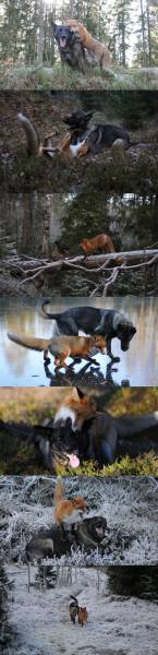 page,9,top 1500 daily pics of the year 2015.html - 1 HD Photos | Premium Gallery 2015