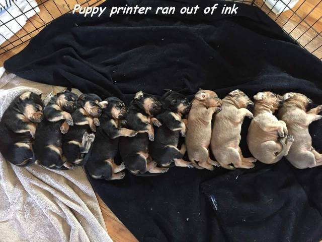 page,58,top 1500 daily pics of the year 2015.html - 1 HD Photos | Premium Gallery 2015