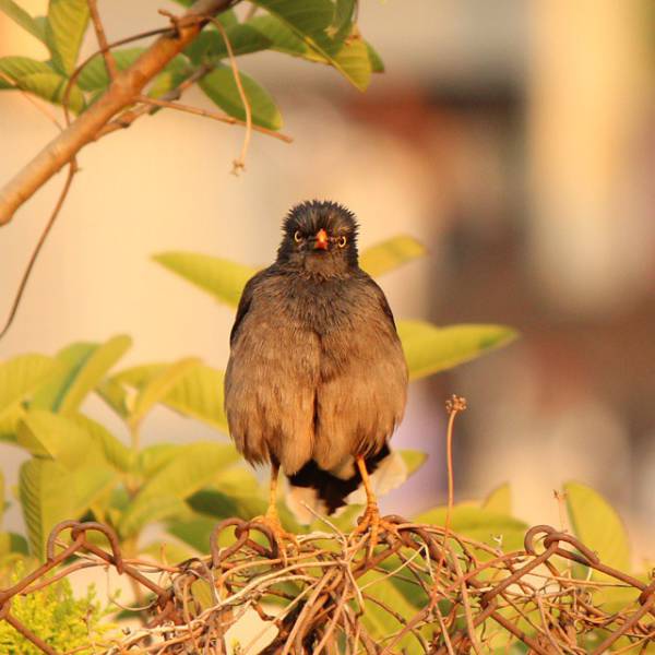 morning picdump 50 pics 1.html - 50 HD Photos | Premium Gallery 2015