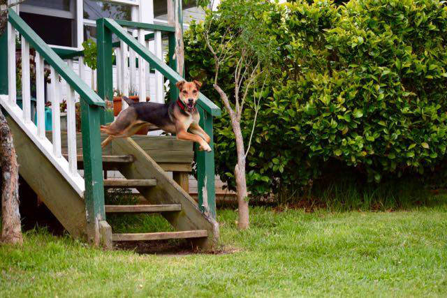 morning picdump 50 pics 1.html - 50 HD Photos | Premium Gallery 2015