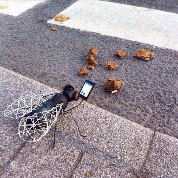 page,7,top 1500 daily pics of the year 2015.html - 1 HD Photos | Premium Gallery 2015