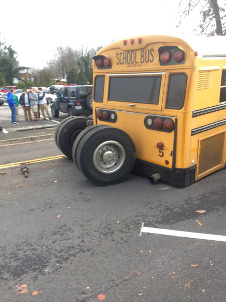 morning picdump 54 pics 14.html - 54 HD Photos | Premium Gallery 2015