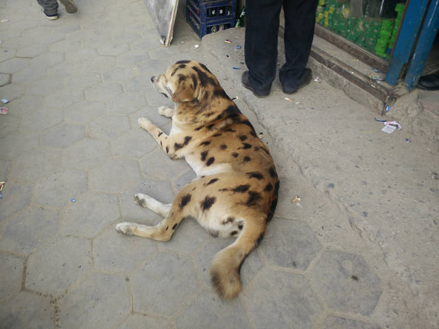 morning picdump 54 pics 14.html - 54 HD Photos | Premium Gallery 2015