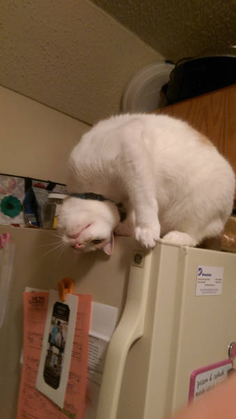 morning picdump 54 pics 14.html - 54 HD Photos | Premium Gallery 2015