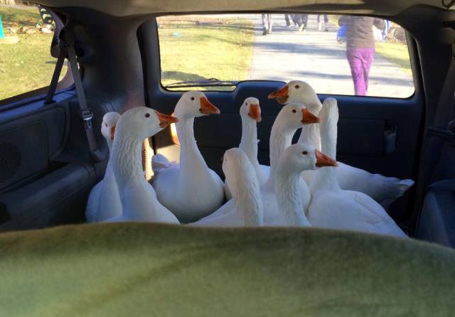 morning picdump 54 pics 14.html - 54 HD Photos | Premium Gallery 2015