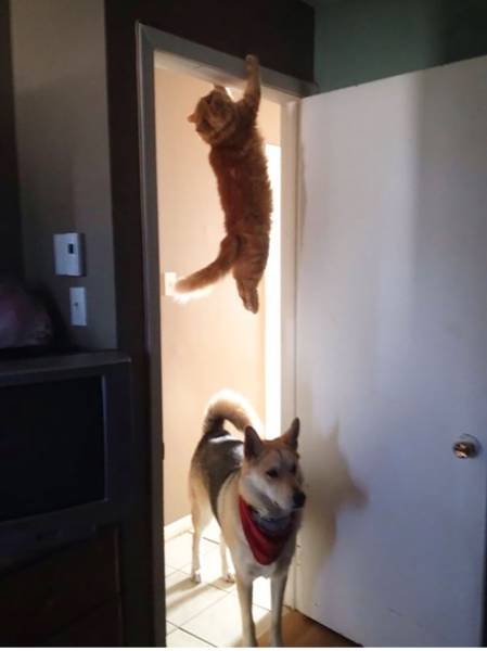 morning picdump 50 pics 6.html - 50 HD Photos | Premium Gallery 2015