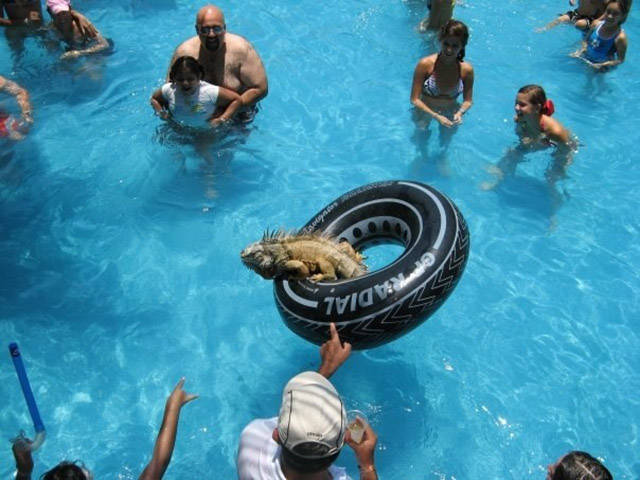 morning picdump 50 pics 6.html - 50 HD Photos | Premium Gallery 2015