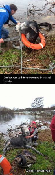 page,23,top 1500 daily pics of the year 2015.html - 1 HD Photos | Premium Gallery 2015