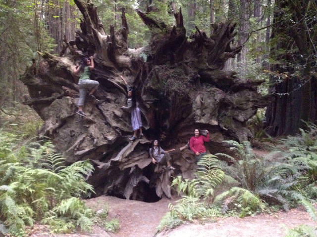 morning picdump 53 pics 21.html - 53 HD Photos | Premium Gallery 2015