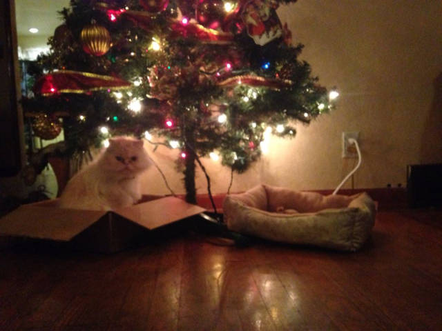 morning picdump 50 pics 14.html - 50 HD Photos | Premium Gallery 2015