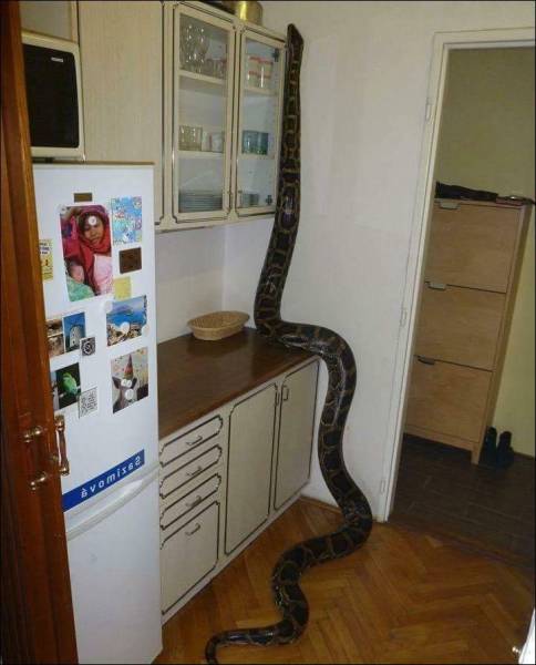 daily picdump 96 pics 36.html - 96 HD Photos | Premium Gallery 2015