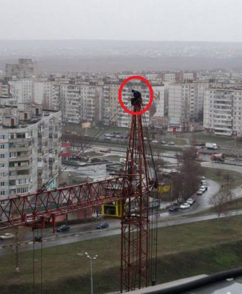 daily picdump 96 pics 36.html - 96 HD Photos | Premium Gallery 2015