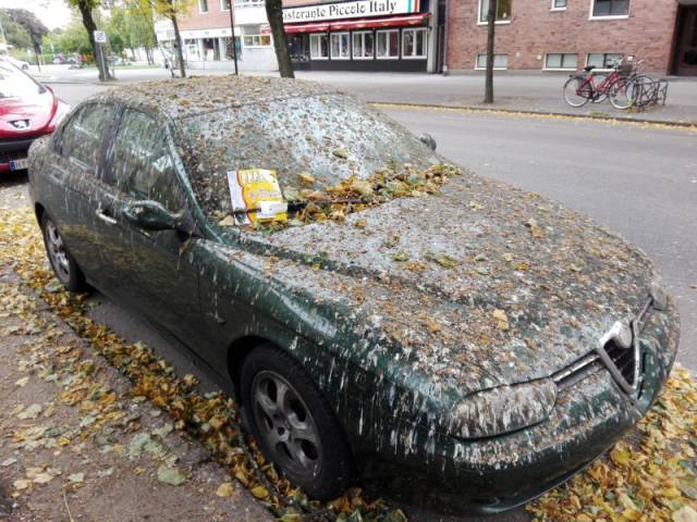 daily picdump 105 pics 24.html - 105 HD Photos | Premium Gallery 2015