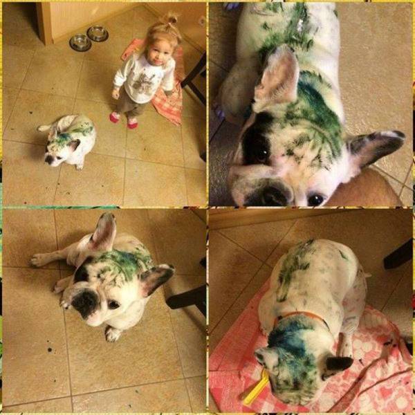 daily picdump 105 pics 24.html - 105 HD Photos | Premium Gallery 2015