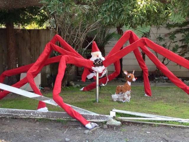 daily picdump 105 pics 24.html - 105 HD Photos | Premium Gallery 2015