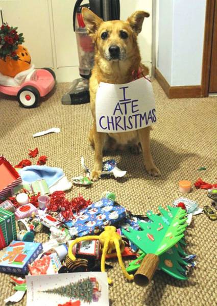 daily picdump 105 pics 24.html - 105 HD Photos | Premium Gallery 2015