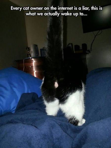 daily picdump 105 pics 24.html - 105 HD Photos | Premium Gallery 2015