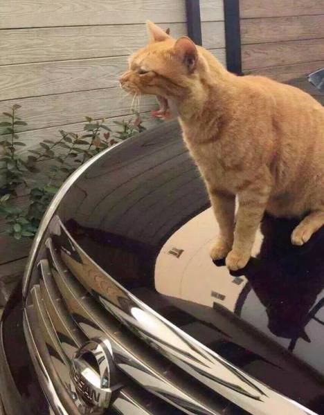 morning picdump 54 pics 39.html - 54 HD Photos | Premium Gallery 2015