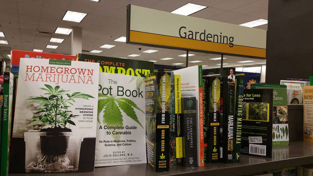 morning picdump 54 pics 39.html - 54 HD Photos | Premium Gallery 2015