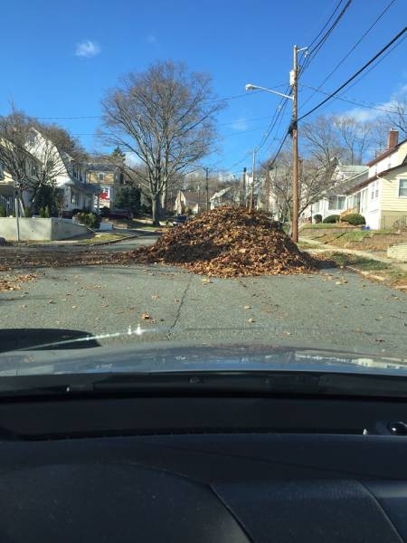 morning picdump 54 pics 39.html - 54 HD Photos | Premium Gallery 2015