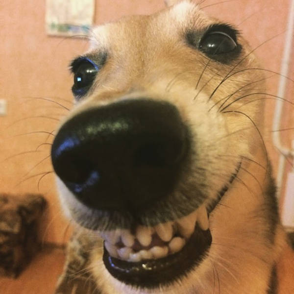 morning picdump 50 pics 33.html - 50 HD Photos | Premium Gallery 2015