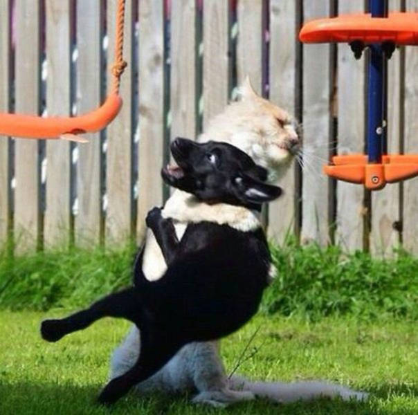 page,9,top 750 morning pics of the year 2015.html - 1 HD Photos | Premium Gallery 2015