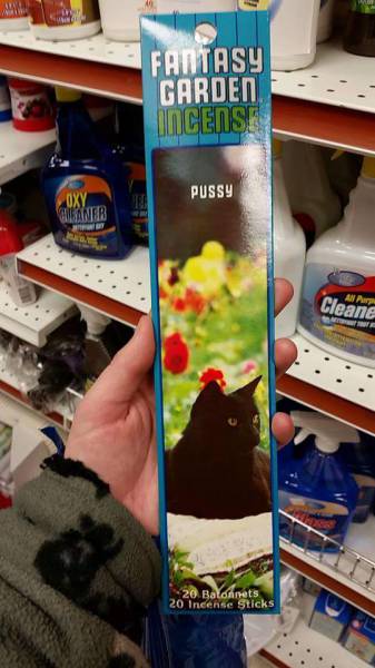 morning picdump 50 pics 33.html - 50 HD Photos | Premium Gallery 2015