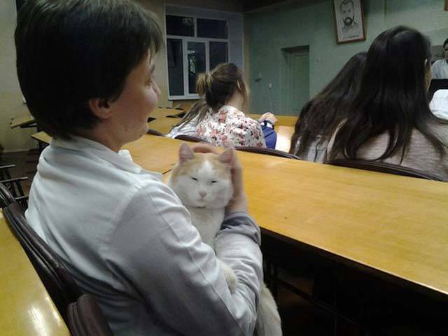 morning picdump 54 pics 51.html - 54 HD Photos | Premium Gallery 2015