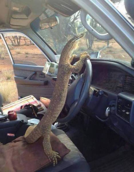 morning picdump 54 pics 51.html - 54 HD Photos | Premium Gallery 2015