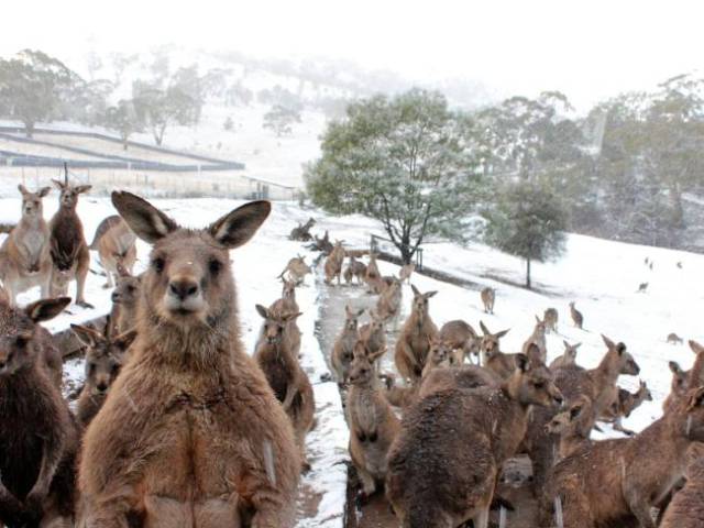 morning picdump 54 pics 51.html - 54 HD Photos | Premium Gallery 2015