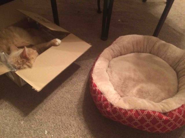 morning picdump 54 pics 51.html - 54 HD Photos | Premium Gallery 2015